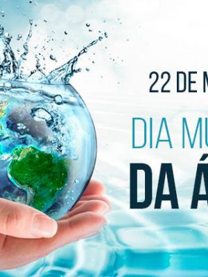 33f9007c4769b38c59efcebe0d9a3bdb_dia-mundial-da-agua-640-c-81