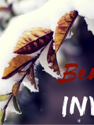 inicio-do-inverno