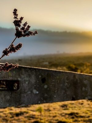 fim-de-semana-do-dia-das-maes-sera-com-sol-e-frio-no-sul-catarinense