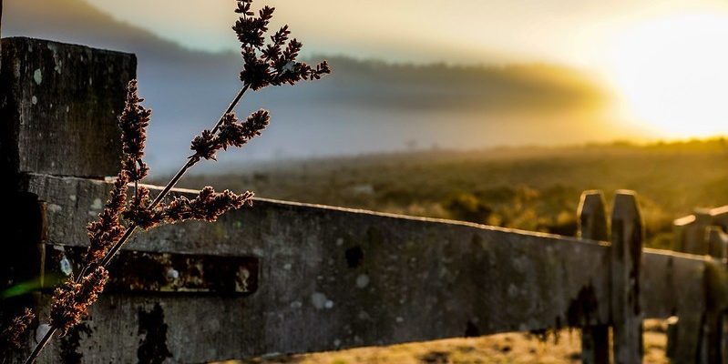 fim-de-semana-do-dia-das-maes-sera-com-sol-e-frio-no-sul-catarinense